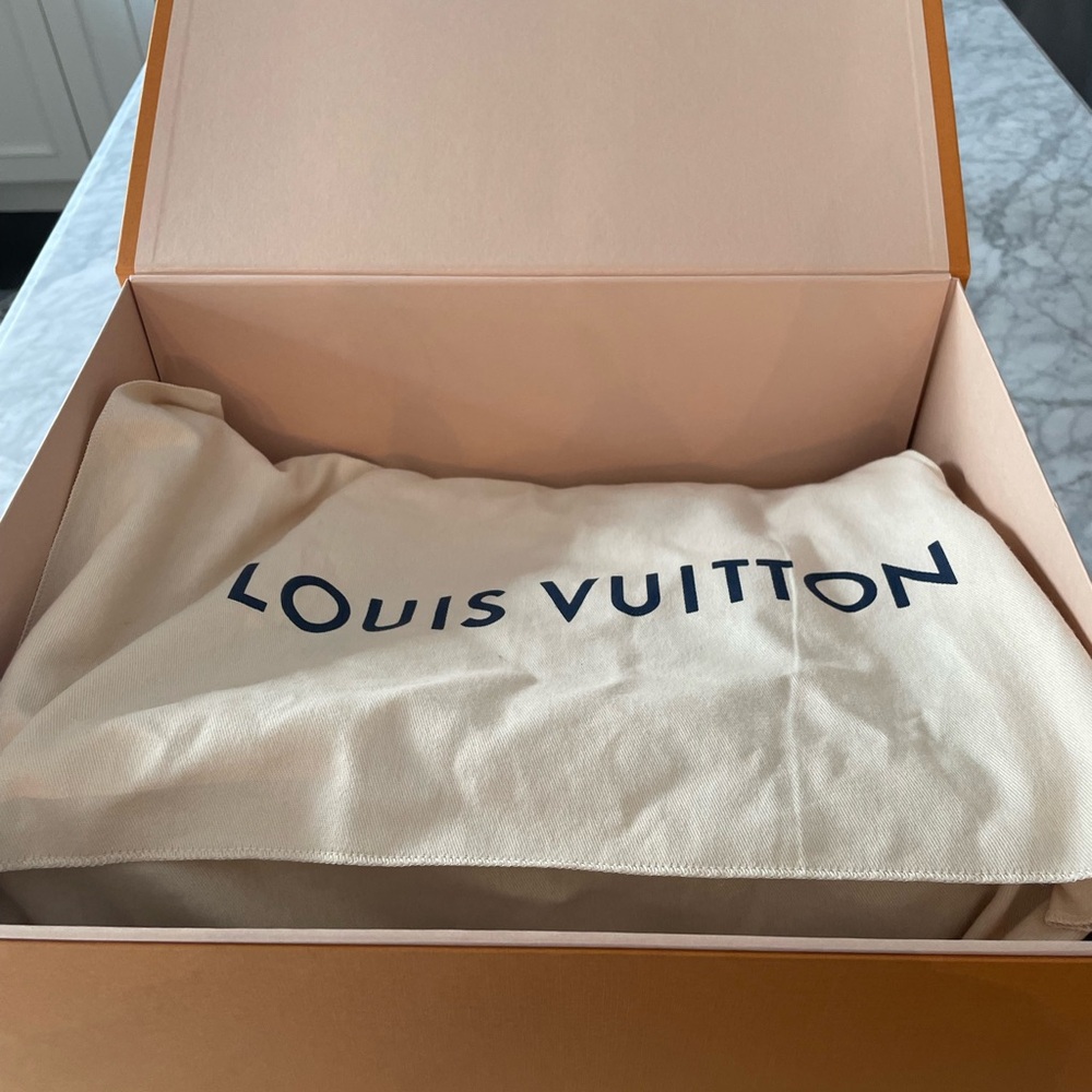 Louis Vuitton Black Maida Hobo - Picture 8 of 17